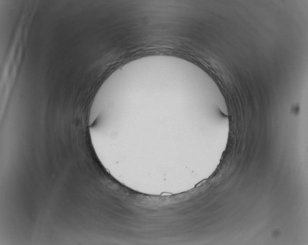 X0000116850037201001191650