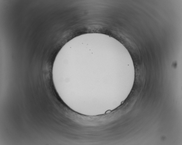 X0000116850038201001191650