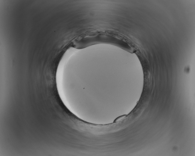 X0000116850039201001191649