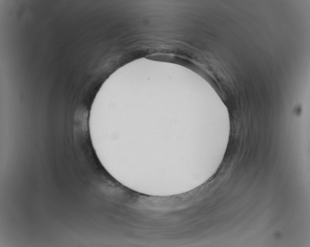 X0000116850041201001191649