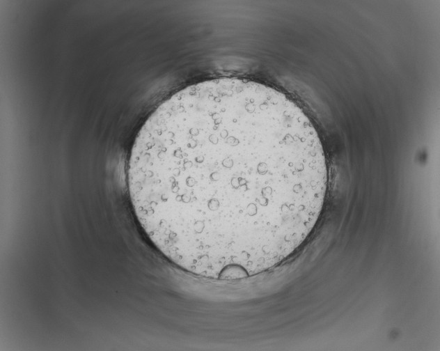 X0000116850042201001191649
