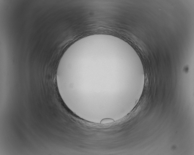 X0000116850043201001191649