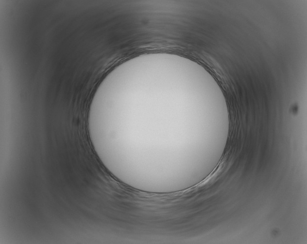 X0000116850045201001191649
