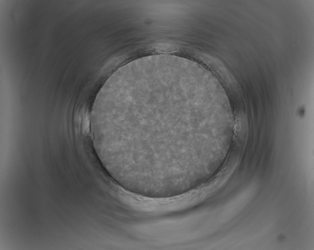 X0000116850046201001191649