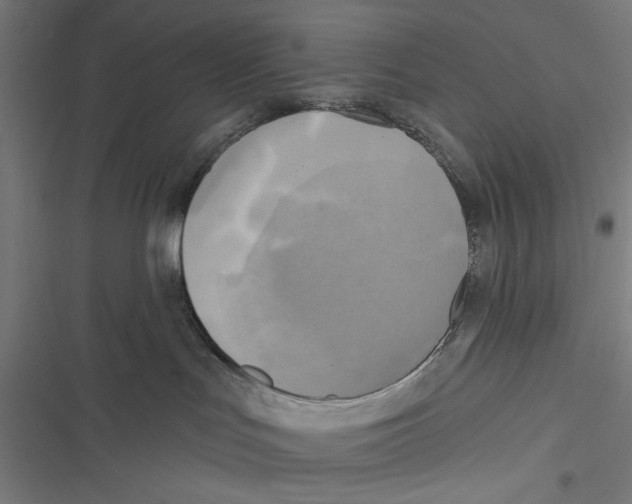 X0000116850047201001191649