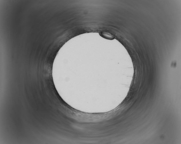 X0000116850048201001191649