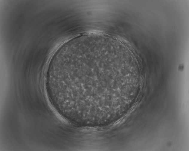 X0000116850049201001191649