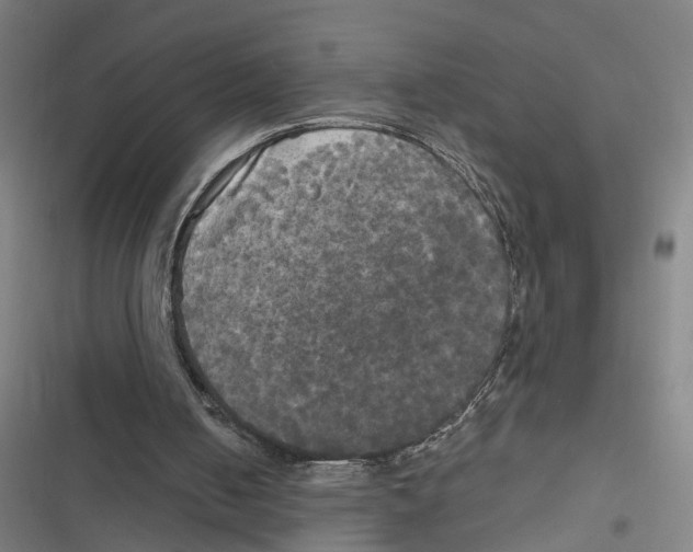 X0000116850050201001191649