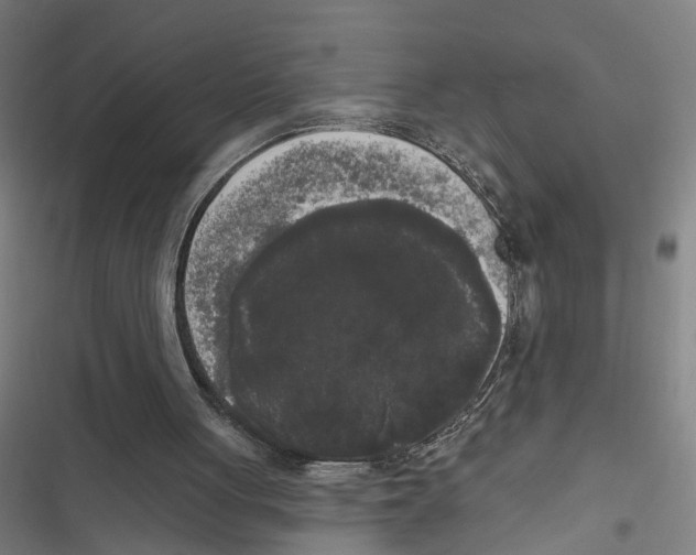 X0000116850051201001191649