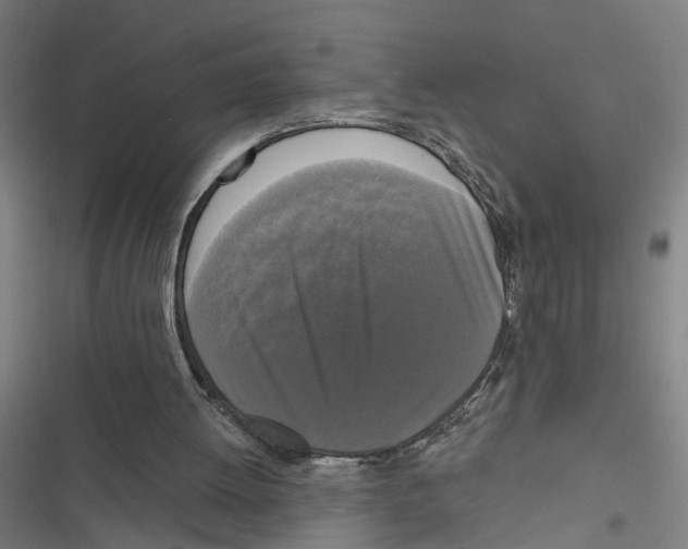 X0000116850052201001191649