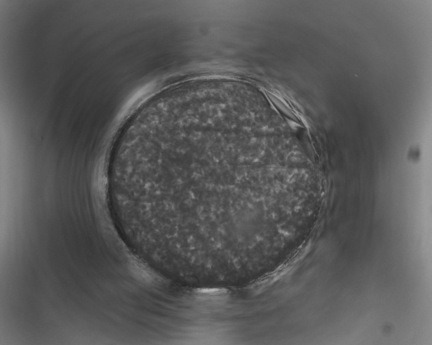X0000116850053201001191649