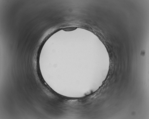 X0000116850054201001191649