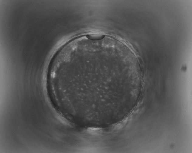 X0000116850055201001191649