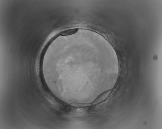 X0000116850056201001191649