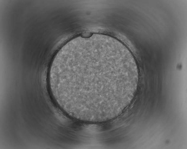 X0000116850058201001191649