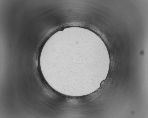 X0000116850062201001191649