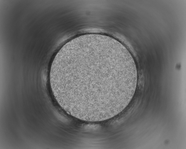 X0000116850063201001191649