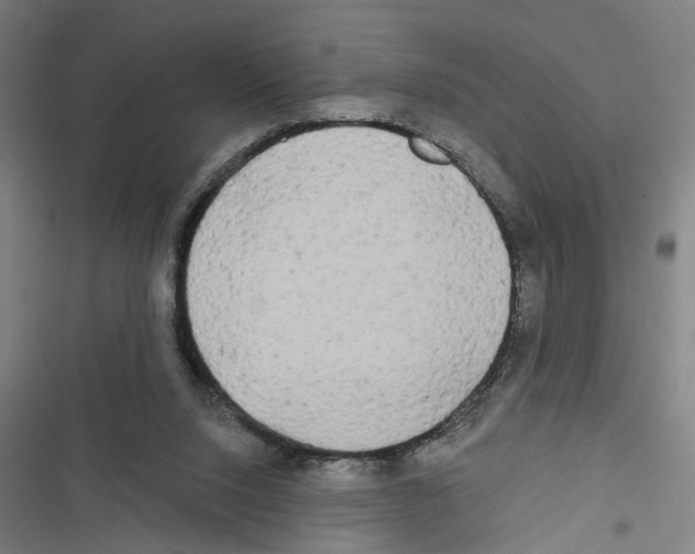 X0000116850064201001191649