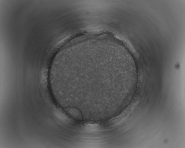 X0000116850066201001191649