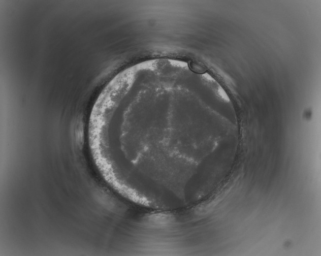 X0000116850067201001191649