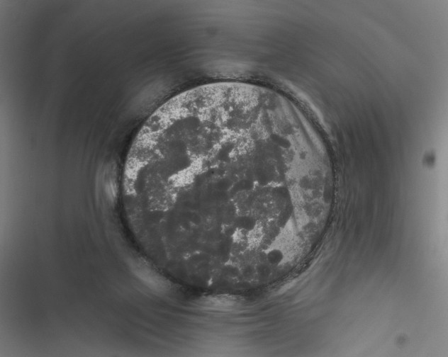 X0000116850069201001191649
