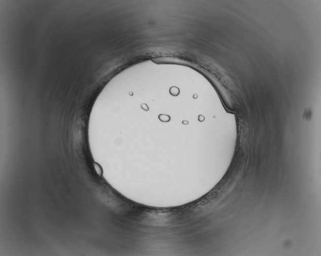 X0000116850071201001191649