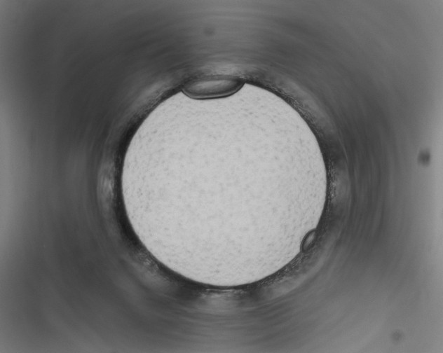 X0000116850072201001191649