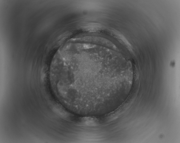 X0000116850073201001191649