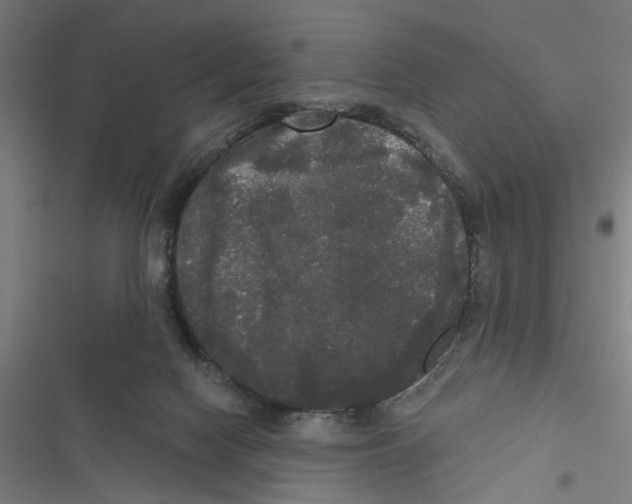 X0000116850074201001191649