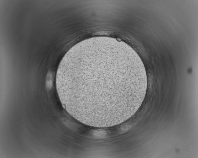 X0000116850075201001191649