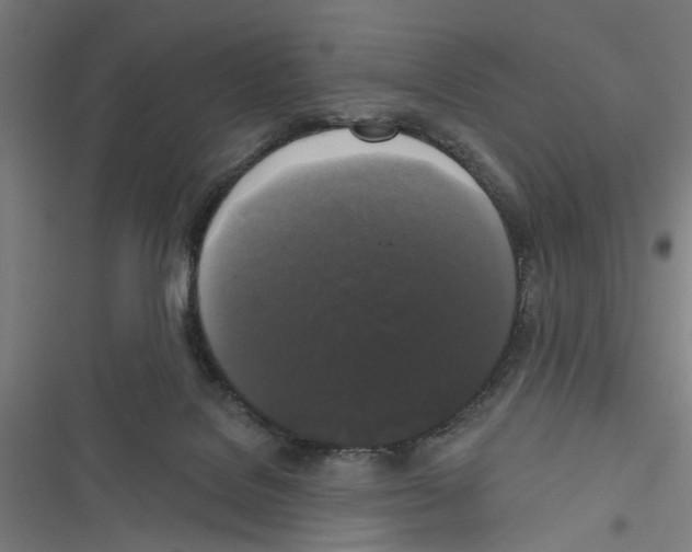 X0000116850076201001191649