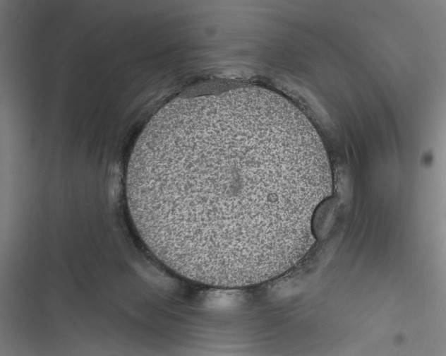 X0000116850077201001191649