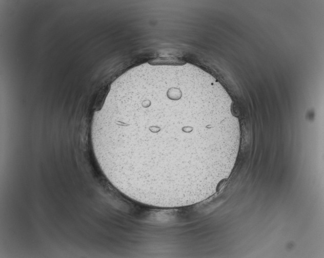 X0000116850078201001191649