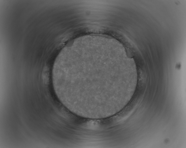 X0000116850080201001191649