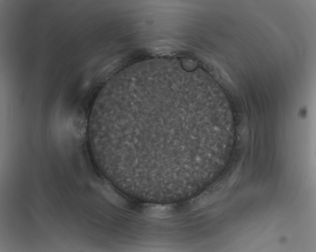 X0000116850081201001191649