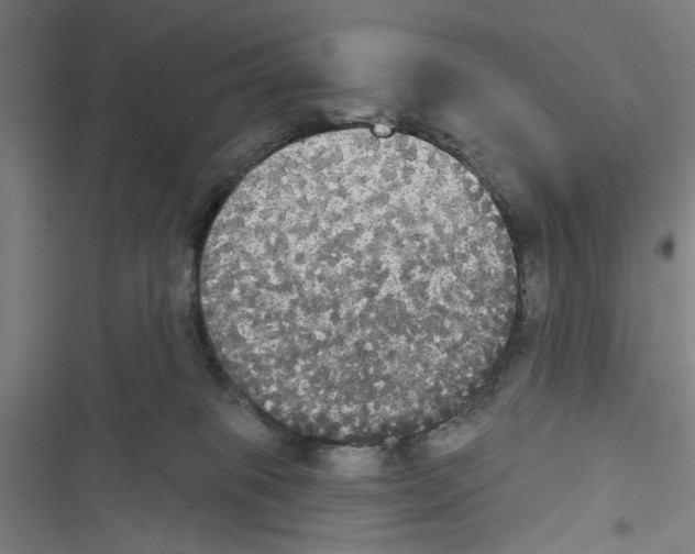 X0000116850085201001191649