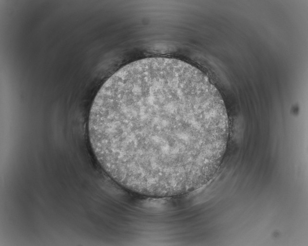 X0000116850086201001191649