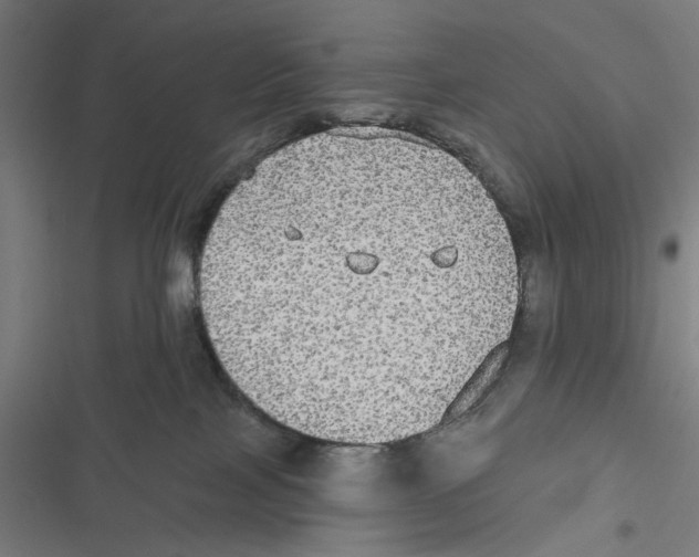 X0000116850089201001191649