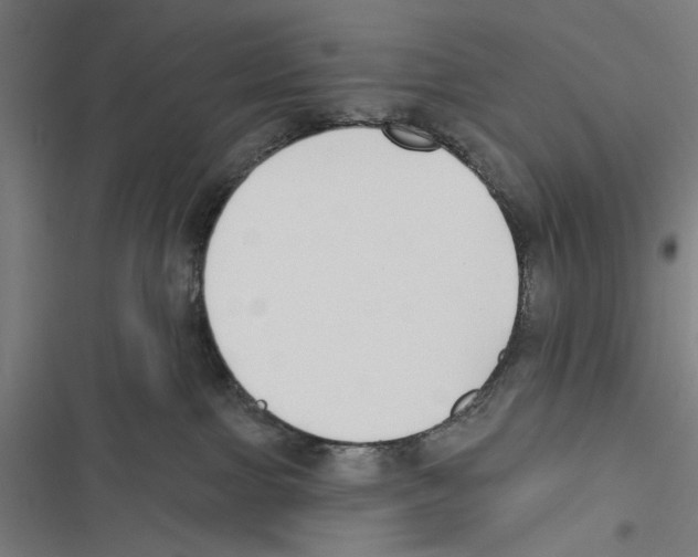 X0000116850091201001191649
