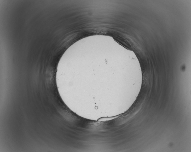 X0000116850092201001191649