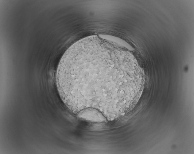 X0000116850093201001191649