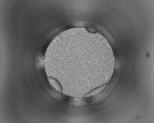 X0000116850095201001191649