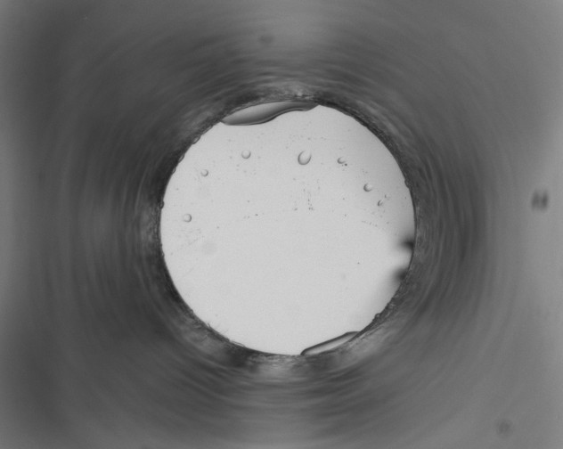 X0000116850096201001191649