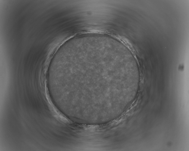 X0000116850097201001191649