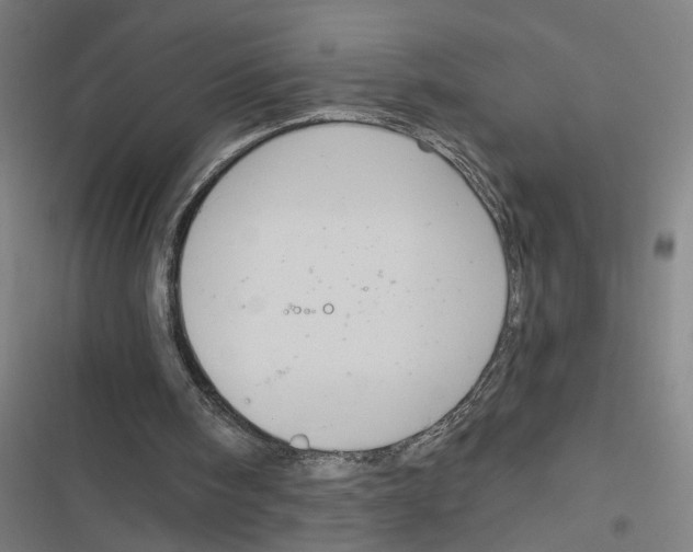 X0000116850098201001191649