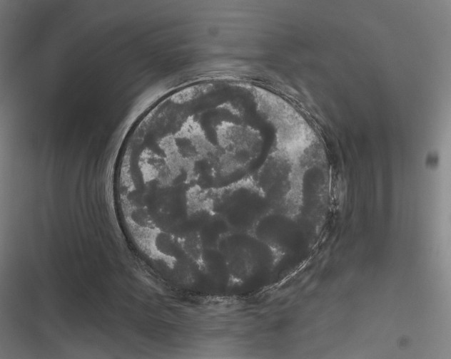 X0000116850099201001191649