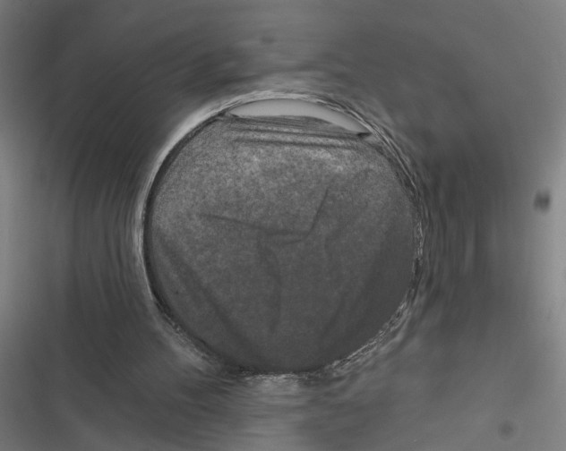 X0000116850100201001191649