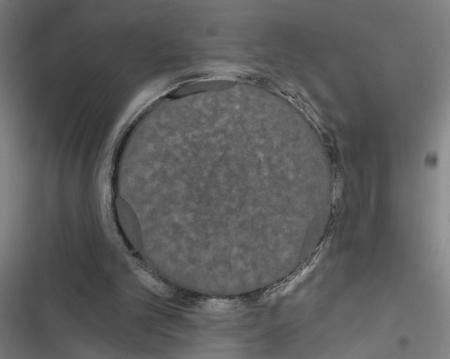X0000116850101201001191649