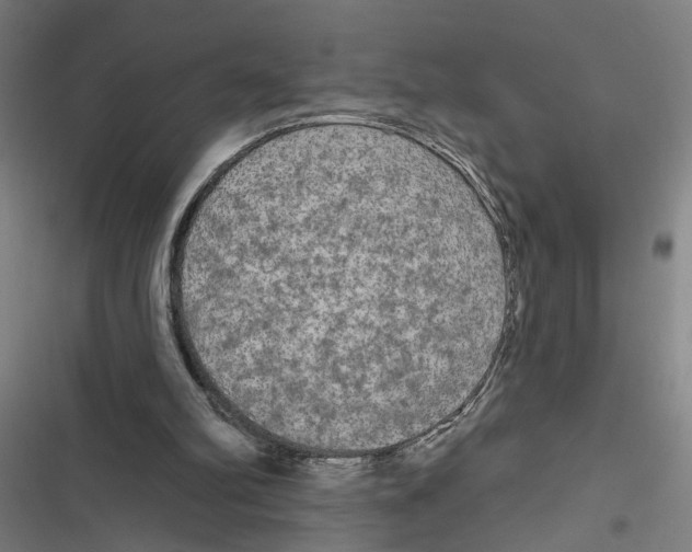 X0000116850102201001191649