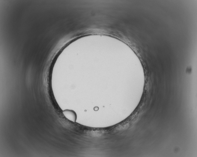 X0000116850103201001191649
